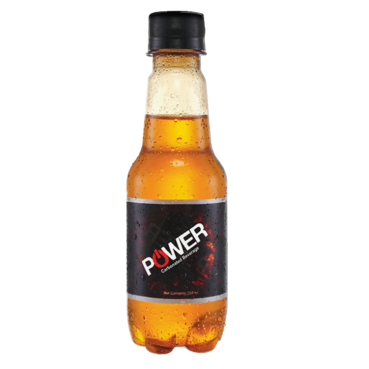 Power | PRAN Foods Ltd